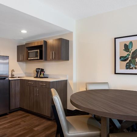 Holiday Inn - Tampa North By Ihg Exterior photo